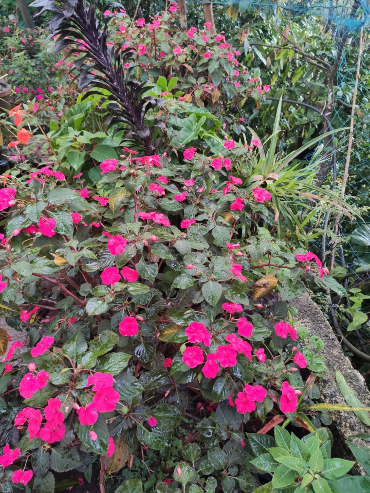 מונאר Soly'S Villa Homestay חדר תמונה